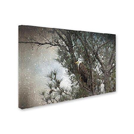 Trademark Fine Art ALI13874-C2232GG Canvas Art， 22 in x 32 in