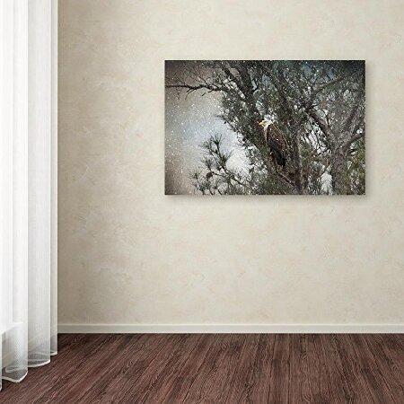 Trademark Fine Art ALI13874-C2232GG Canvas Art， 22 in x 32 in