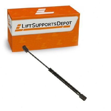 Lift Supports Depot Qty (1) Compatible with Kia K900 Quoris 2015 to 2017 Front Hood Lift Support Shocks Struts_5