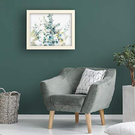 Trademark Fine Art Danhui NAI作ユーカリ作物、アンティーク調ホワイトフレーム、マルチカラーの画像