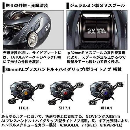 ダイワ ダイワ(DAIWA) ベイトリール 20 TATULA SV TW 103XH(2020モデル