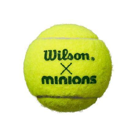 Wilson（ウイルソン） 硬式テニスボール MINIONS STAGE 1 TBALL