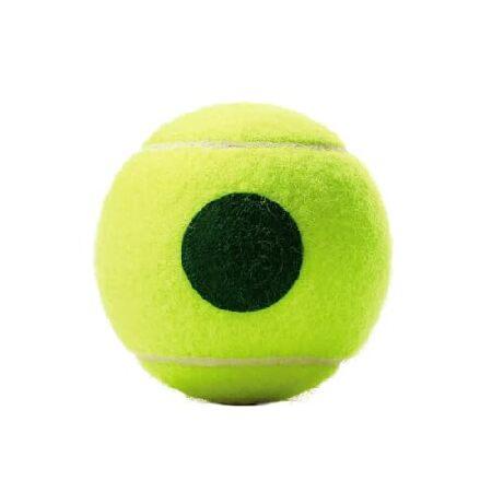 Wilson（ウイルソン） 硬式テニスボール MINIONS STAGE 1 TBALL
