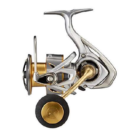 ダイワ ダイワ(DAIWA) 21 フリームス LT5000-CXH : AWAアウトドア