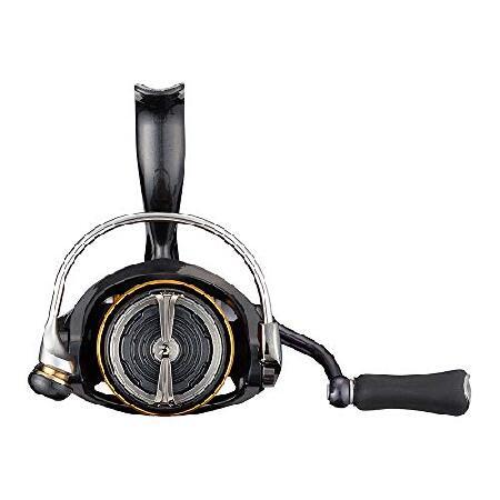 ダイワ(DAIWA) スピニング 21 カルディア FC LT1000S 【公式通販】