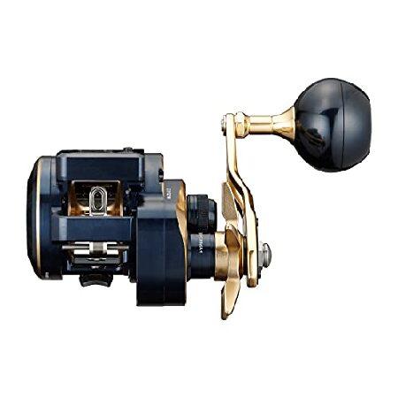 ダイワ ダイワ(DAIWA) 21 ソルティガIC 300L : AWAアウトドア - 通販