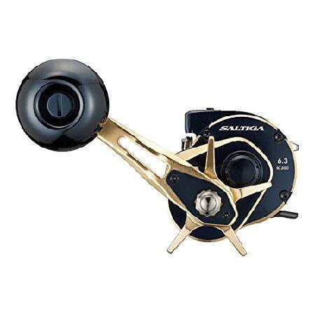 ダイワ ダイワ(DAIWA) 21 ソルティガIC 300L : AWAアウトドア - 通販