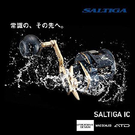 ダイワ ダイワ(DAIWA) 21 ソルティガIC 300L : AWAアウトドア - 通販