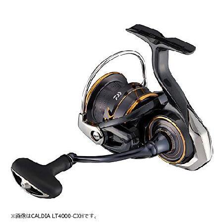 ダイワ ダイワ(DAIWA) スピニング 21 カルディア LT4000S-C : AWA