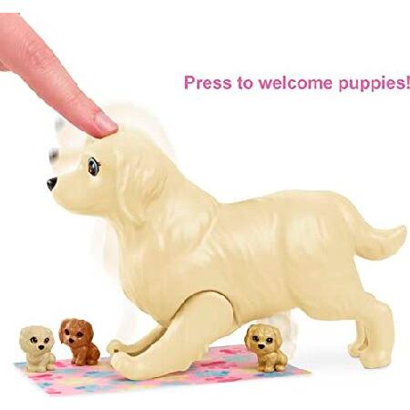 Barbie Doll and Newborn Pups Playset Doll (Brunette， 11.5 in) Mommy Dog with Birthing Feature， 3 Puppies ＆ Nurturing Accessories， Gift for 3 to 7 Yea_2