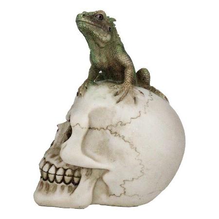 Ebros Gift アンダーワールド マカブル 爬虫類スカル イグアナトカゲの置物 スケルトン 頭蓋骨 置物 ハロウィン 死者の日 聖堂 アクセント_2