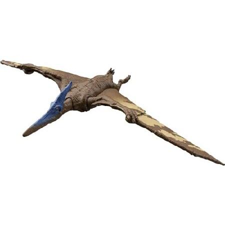 Mattel Jurassic World Dominion Roar Strikers Dinosaur Action Figure with Roaring Sound ＆ Attack Action, Pternanodon Dino Toy Includes Downloadable Apの画像