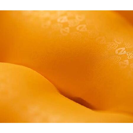 NEMO（ニーモ） テンサー インシュレーテッド レギュラーマミー NM