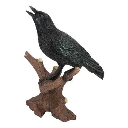 Ebros Gift Quoth The Raven Nevermore リアルなカラス 木の枝に止まっ