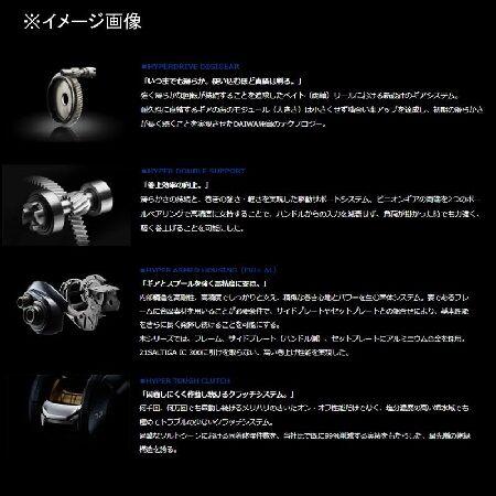 ダイワ(DAIWA) カウンター付キベイトリール ティエラLJ IC200L