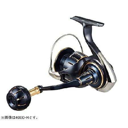 ダイワ ソルティガBJ4000SH ダイワ(DAIWA) スピニングリール 23ソルティガ 4000-XH 【公式通販】