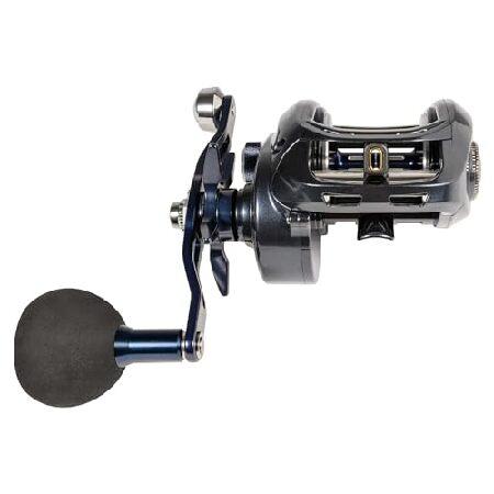 ダイワ(DAIWA) ベイトキャスティングリール レクサ500 Type-Hd LX-HD500XH-P 8.1 :1の画像