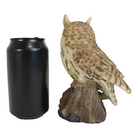 Ebros Gift Realistic Hand Painted Baby Eagle Owl Bird Perching On Tree Stump Guest Greeter with Built in Motion Activated Sensor Hooting Sound Statueの画像