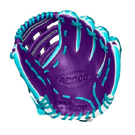 Wilson（ウイルソン） Wilson Winter 2024 A2000 DW5 12インチ 内野