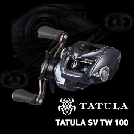 ダイワ(DAIWA) ベイトリール 25TATULA(タトゥーラ) SV TW 100XH_4