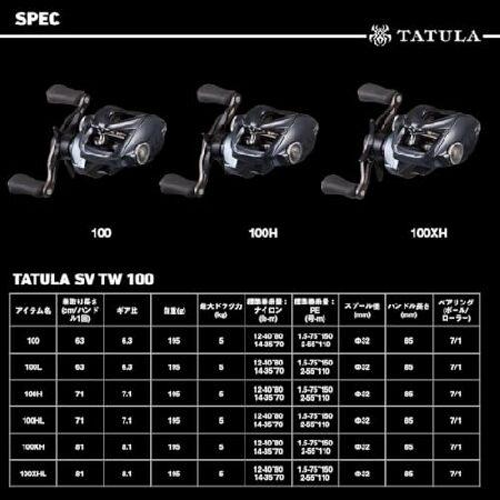 ダイワ(DAIWA) ベイトリール 25TATULA(タトゥーラ) SV TW 100XH_5