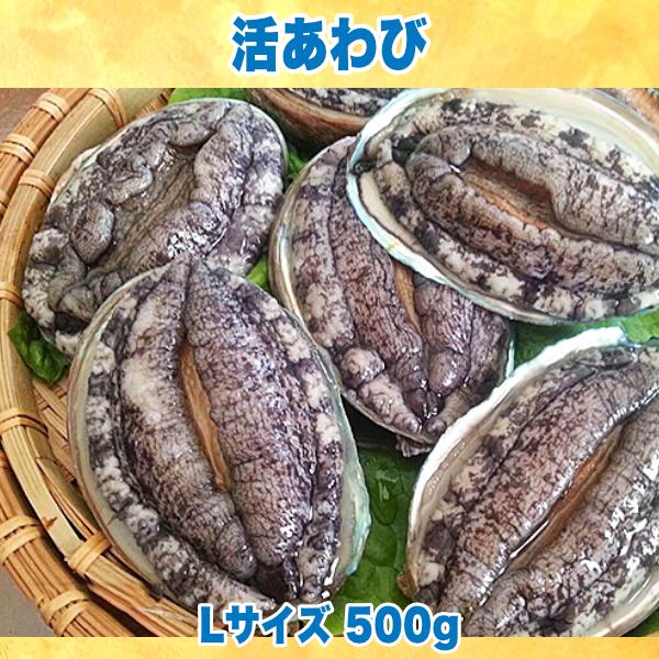 生きているから肝までお刺身品質 活あわび Lサイズ 500g Sa あわび屋 マルサ 通販 Yahoo ショッピング