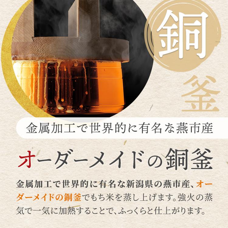 一升餅 1歳 お祝い セット 送料無料 小分け 将来の才能や職業を占う選び取りカード付き 米どころ新潟県産の最高級もち米 こがねもち 使用 誕生日 | こがねもち | 12