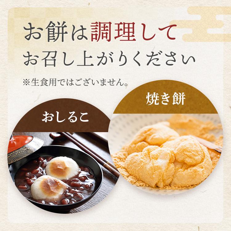 こがねもち 一升餅 1歳 お祝い セット 送料無料 小分け 将来の