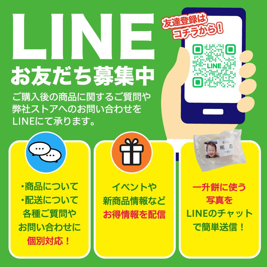 一升餅 1歳 お祝い セット 送料無料 小分け 将来の才能や職業を占う選び取りカード付き 米どころ新潟県産の最高級もち米 こがねもち 使用 誕生日｜awaduya-store｜18