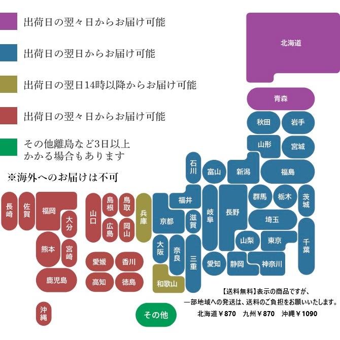 一升餅 1歳 お祝い セット 送料無料 小分け 将来の才能や職業を占う選び取りカード付き 米どころ新潟県産の最高級もち米 こがねもち 使用 誕生日 | こがねもち | 18