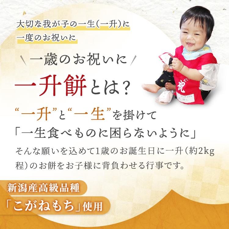一升餅 1歳 お祝い セット 送料無料 小分け 将来の才能や職業を占う選び取りカード付き 米どころ新潟県産の最高級もち米 こがねもち 使用 誕生日 | こがねもち | 01