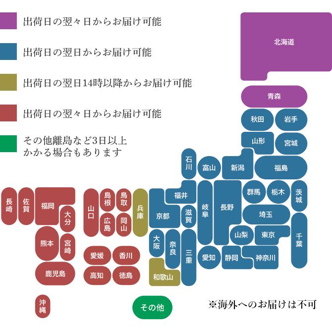 一升餅 1歳 お祝い セット 送料無料 小分け 将来の才能や職業を占う選び取りカード付き 米どころ新潟県産の最高級もち米 こがねもち 使用 誕生日｜awaduya-store｜20