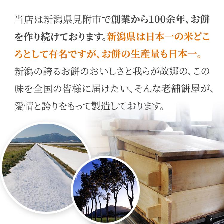 一升餅 1歳 お祝い セット 送料無料 小分け 将来の才能や職業を占う選び取りカード付き 米どころ新潟県産の最高級もち米 こがねもち 使用 誕生日 | こがねもち | 09