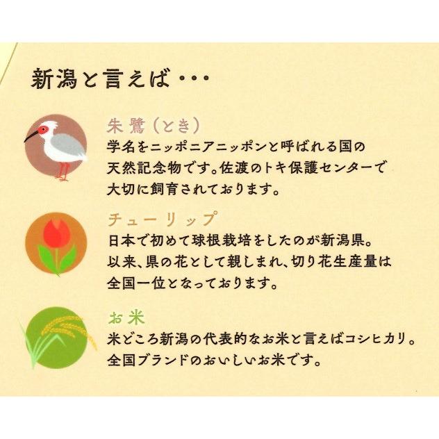 チョコレート ギフト 生サブレ 新潟のへそ しっとり やわらか 新潟県産 米粉入り 新米 粉砕 ホワイトデー お返し お供え お彼岸｜awaduya-store｜06