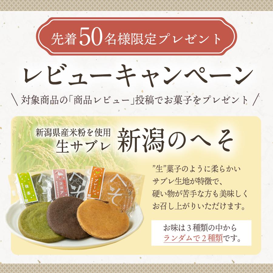 こがねもち まき餅 10kg 投げ餅 上棟式 建前 お祭り お祝い イベント