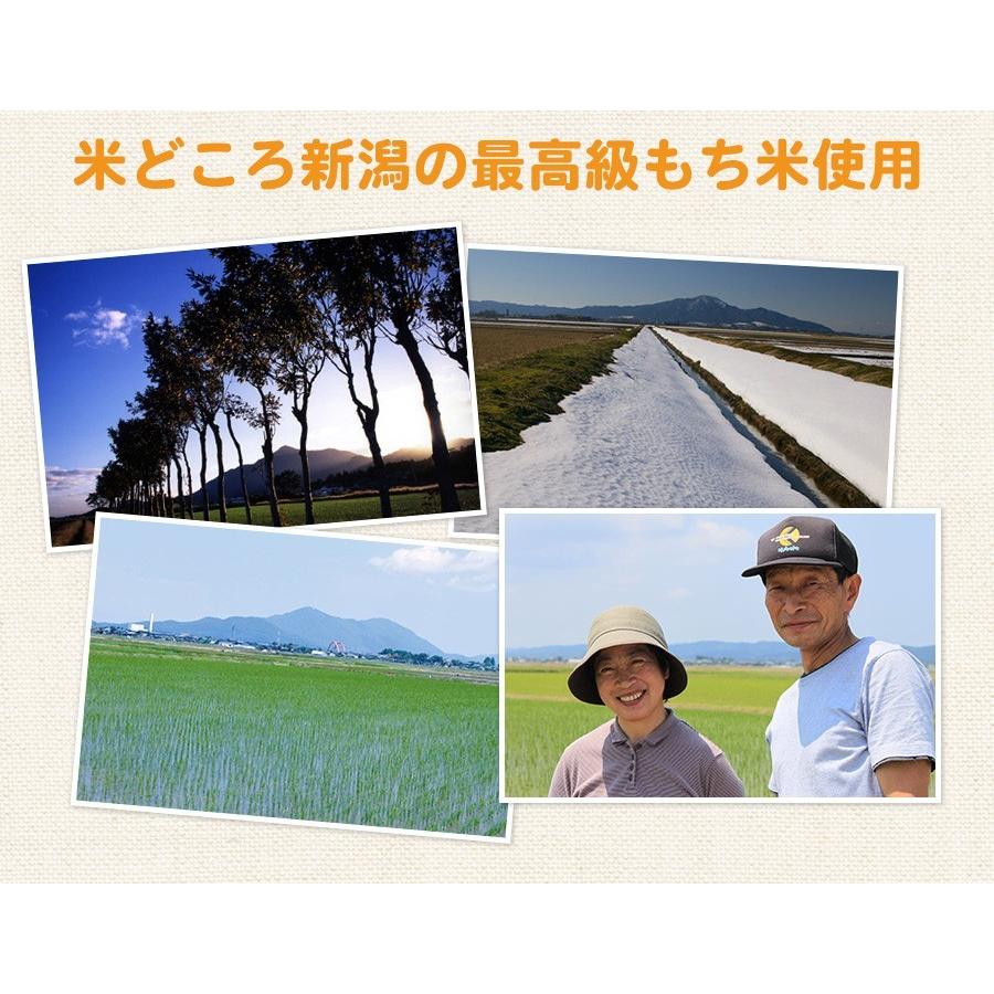 まき餅 15kg　上棟式 建前 お祭り お祝い イベント 結婚式 新装開店に　餅まき用小包装真空パック　米どころ新潟の最高級もち米 こがねもち 使用　送料無料 新潟県産 赤3 赤105 6月 9月 10月 5月 冷凍保存で1
