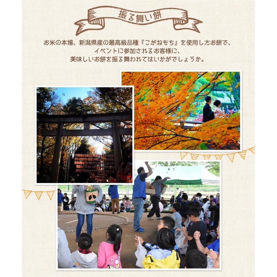 まき餅 15kg　上棟式 建前 お祭り お祝い イベント 結婚式 新装開店に　餅まき用小包装真空パック　米どころ新潟の最高級もち米 こがねもち 使用　送料無料 新潟県産 赤3 赤105 6月 9月 10月 5月 冷凍保存で1