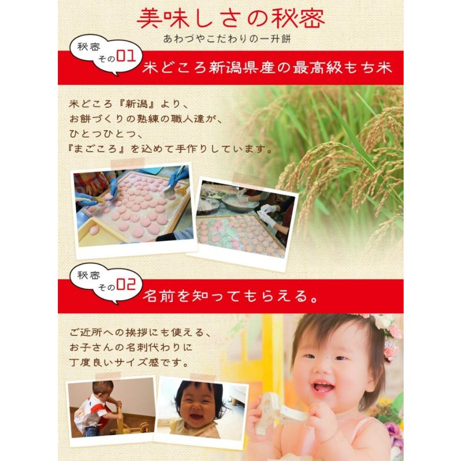 一升餅 1歳 お祝い セット 小分け 将来の才能や職業を占う選び取りカード付き 米どころ新潟県産の最高級もち米 こがねもち 使用 誕生日 113 あわづやヤフーショッピング店 通販 Yahoo ショッピング
