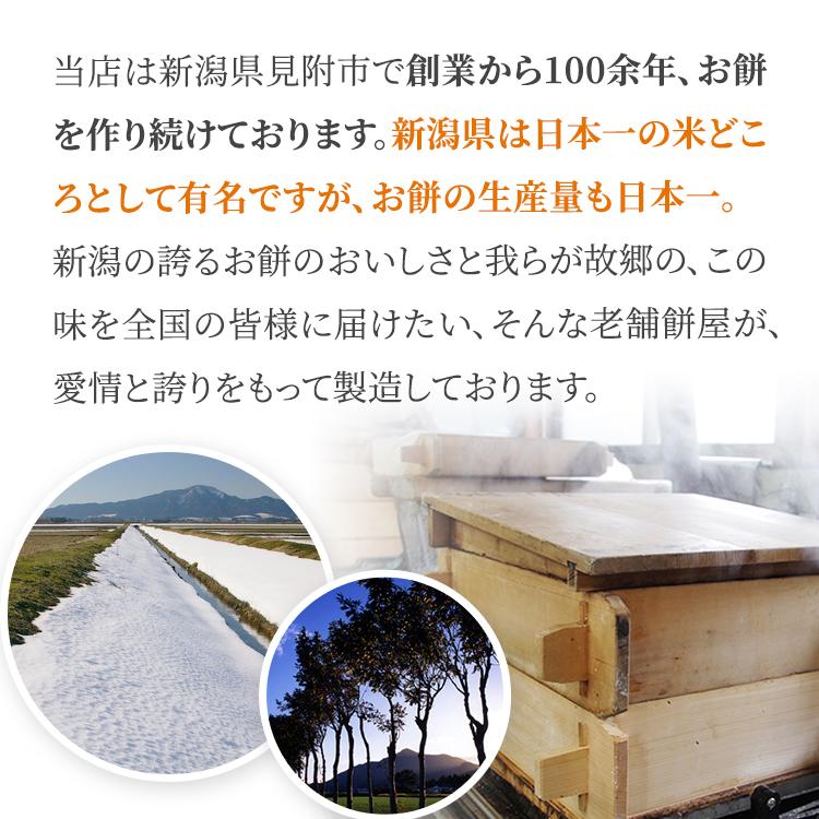 一升餅 豆大福 1歳 お祝い セット 小分け 将来の才能や職業を占う選び取りカード付き 米どころ新潟県産の最高級もち米 こがねもち 使用　誕生日 |  | 06