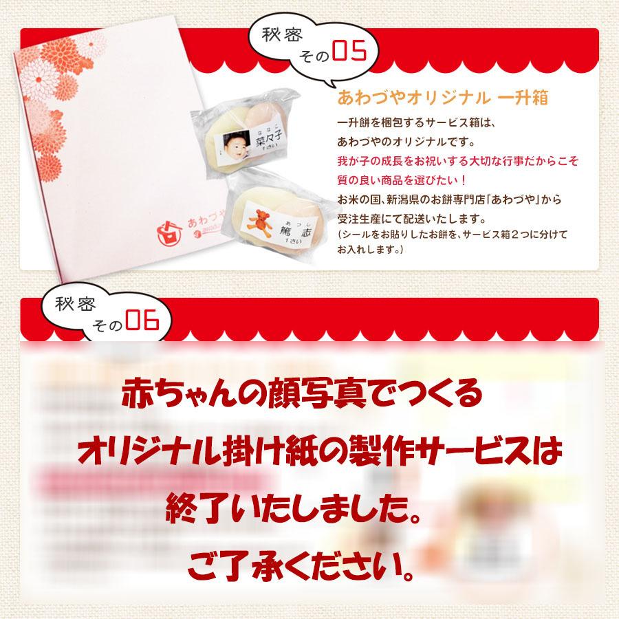 一升餅 生クリーム大福 1歳 お祝い セット 送料無料 小分け 将来の才能や職業を占う選び取りカード付き 米どころ新潟県産の最高級もち米 こがねもち 使用 131 あわづやヤフーショッピング店 通販 Yahoo ショッピング