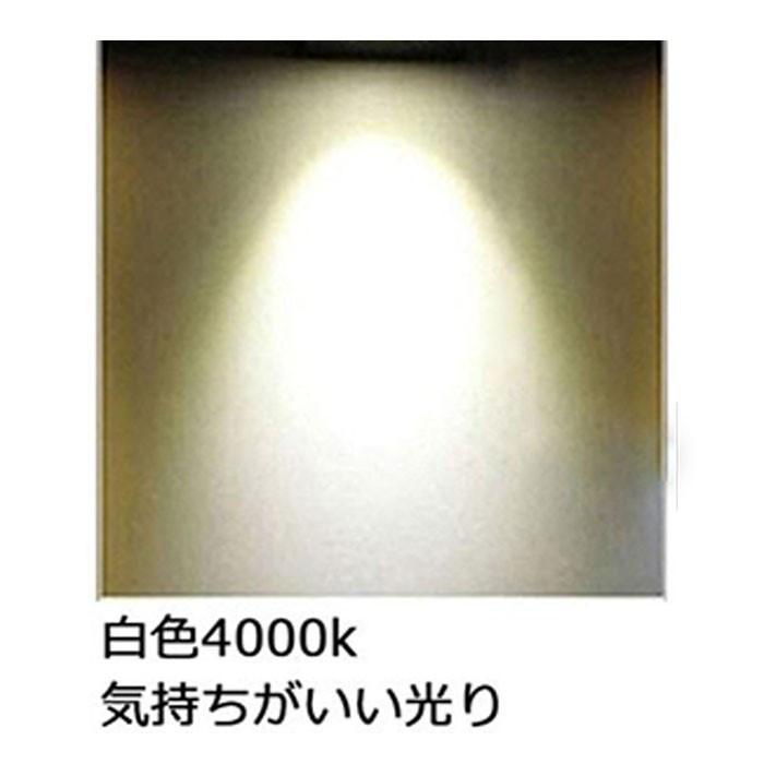 FPL55EX-W FPL55EXW LED fpl55 ledランプ FPL55形 25W 4000lm 口金
