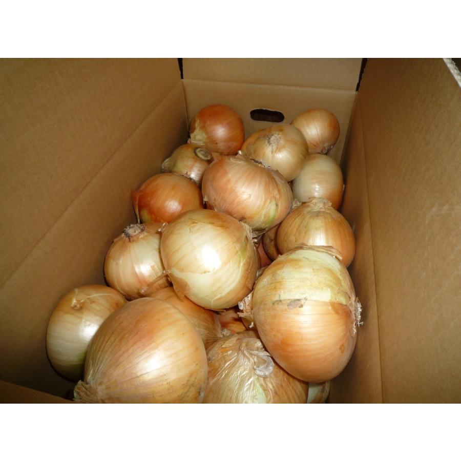仕入れ 業務用 大きいサイズ 送料込み 淡路島玉ねぎ ２０キロ たまねぎ タマネギ 淡路たまねぎ 大きいサイズご希望の業者さま G 112 淡路島からの贈り物 ものあわ 通販 Yahoo ショッピング
