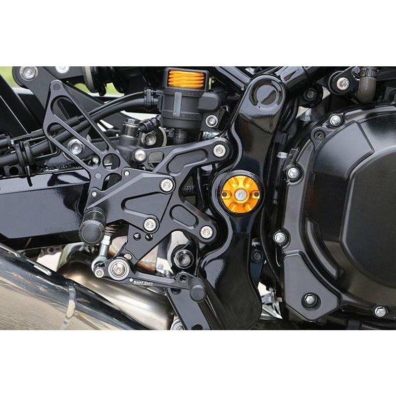 BabyFace ベビーフェイス フレームキャップ シルバー Z900RS '18