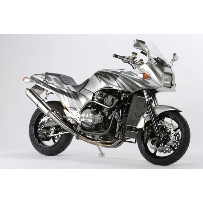ACTIVE アクティブ サブフレーム バフ仕上げ TYPE-2 GPZ750R ACTIVE アクティブ サブフレーム バフ仕上げ TYPE-2 GPZ750R