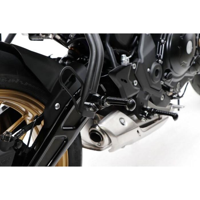 ACTIVE アクティブ ステップバー タンデム側 シルバー KAWASAKI ACTIVE アクティブ ステップバー タンデム側 シルバー KAWASAKI
