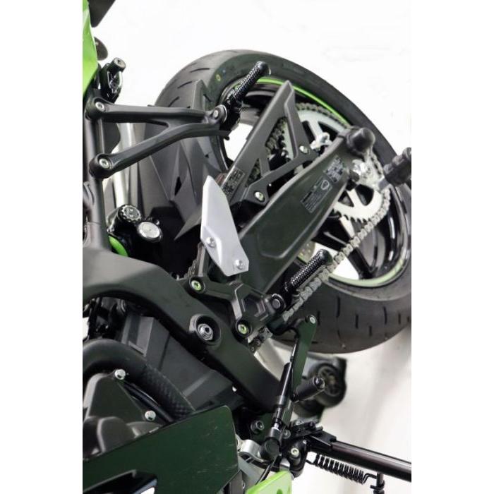 ACTIVE アクティブ ステップバー タンデム側 シルバー KAWASAKI ACTIVE アクティブ ステップバー タンデム側 シルバー KAWASAKI