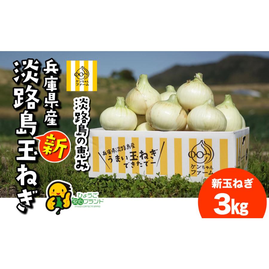 玉ねぎ たまねぎ  新玉ねぎ　新たまねぎ　淡路島 淡路島たまねぎ 淡路島玉ねぎ  ３キロ　淡路島産 ケンちゃんファーム｜awajikenchanfarm