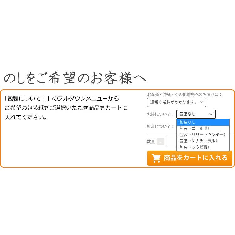 ギフト 贈答 お取り寄せ ギフト だしが香る 天然だしのつゆ 500ml×6本 紙パック 無添加 濃縮 めんつゆ だし醤油 マエカワテイスト 送料無料 爆買 | ブランド登録なし | 05