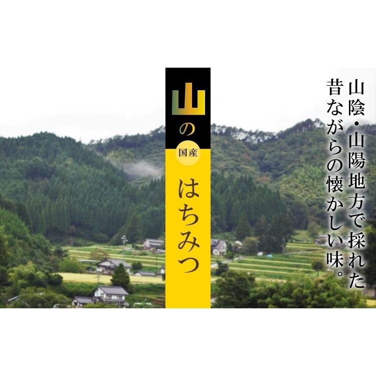 非加熱 蜂蜜 国産 純粋 山のはちみつ 170g 詰替タイプ 福岡県産 ヒグチ園 メール便 送料無料 はちみつおいしい｜awajikodawari｜02