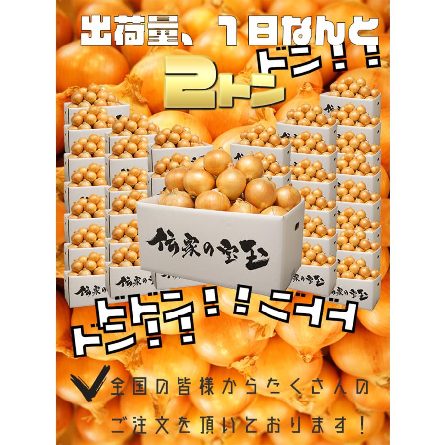 送料無料 淡路島 玉ねぎ 淡路島ブランド玉ねぎ 伝家の宝玉 M〜LLサイズお任せ 20kg 淡路島産直玉ねぎ :awaji-onion20kg:くらしやすく - 通販 - Yahoo!ショッピング 送料無料 淡路島 玉ねぎ 淡路島ブランド玉ねぎ 伝家の宝玉 M〜LLサイズお任せ 20kg 淡路島産直玉ねぎ :awaji-onion20kg:くらしやすく - 通販 - Yahoo!ショッピング